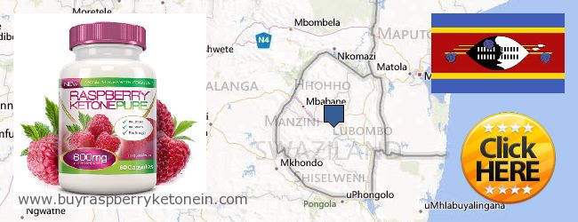 Où Acheter Raspberry Ketone en ligne Swaziland
